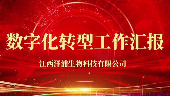 数字化转型工作汇报